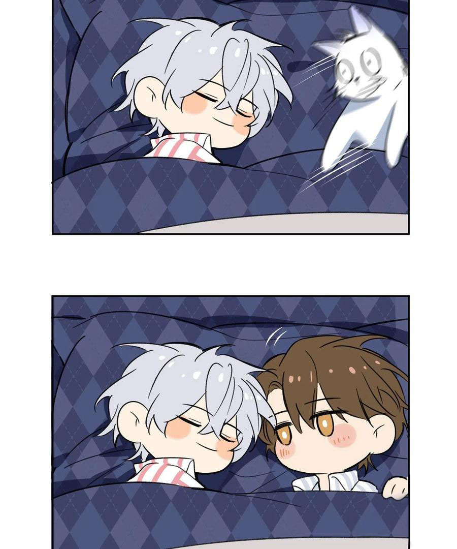 43 Tengo que trabajar duro para ser un gato hoy!