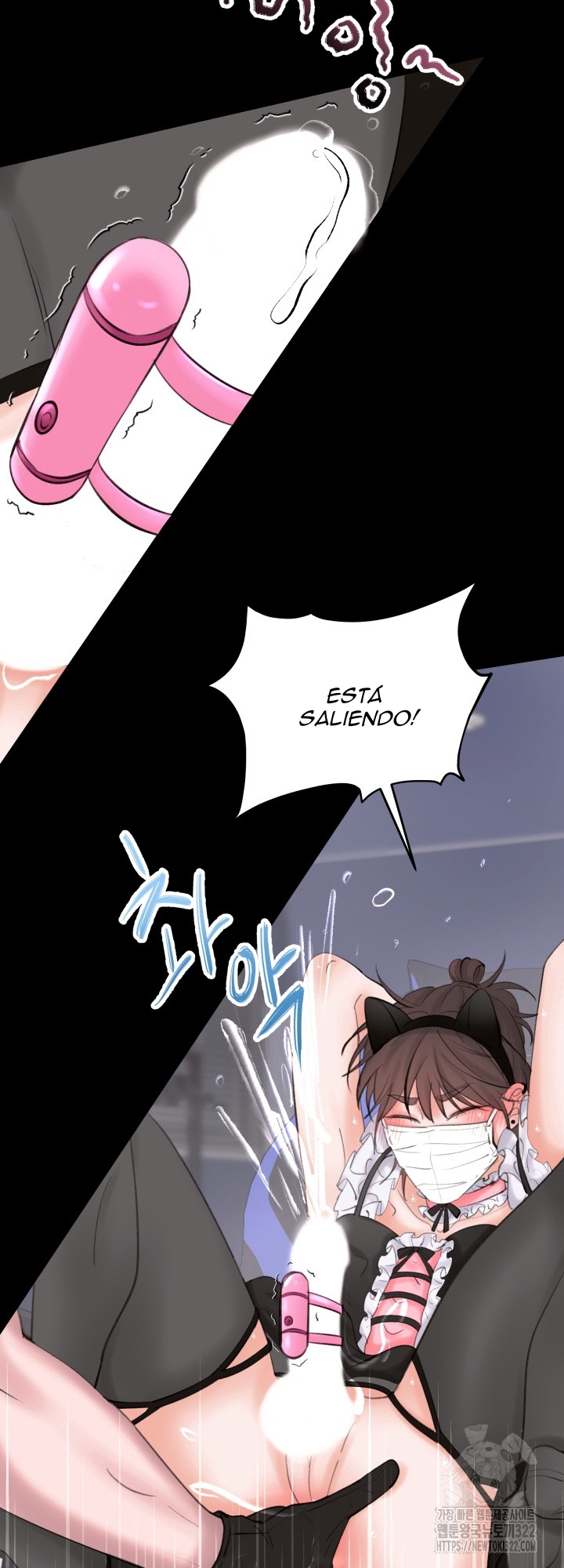 12 Magician and course live