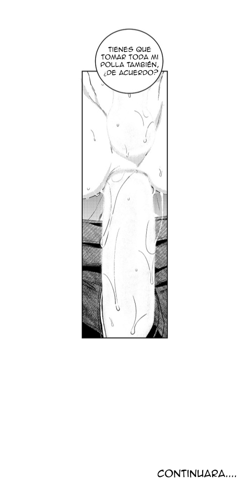 31 Conexion perfecta