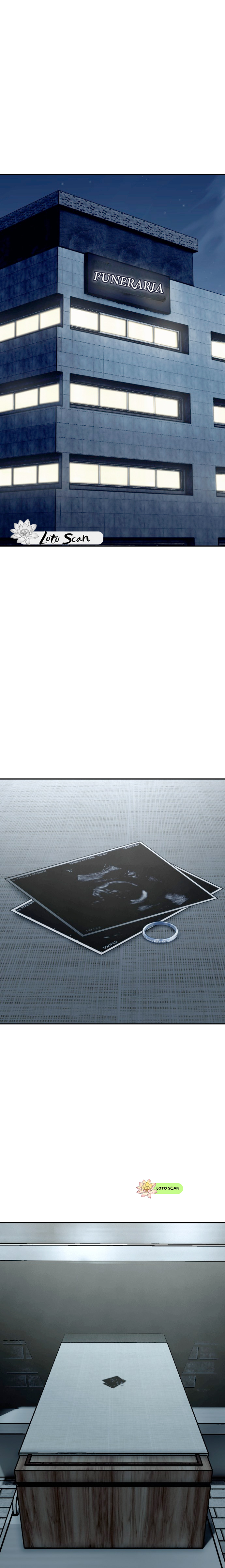 43 El harem de la emperatriz