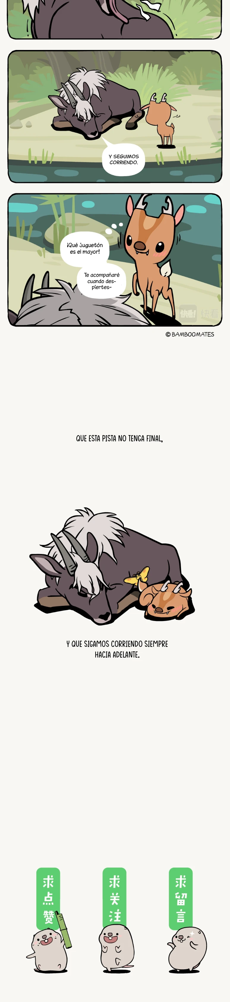 5 compañeros de bambu