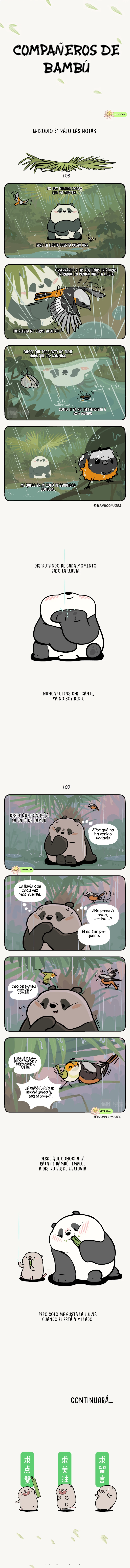 1 compañeros de bambu