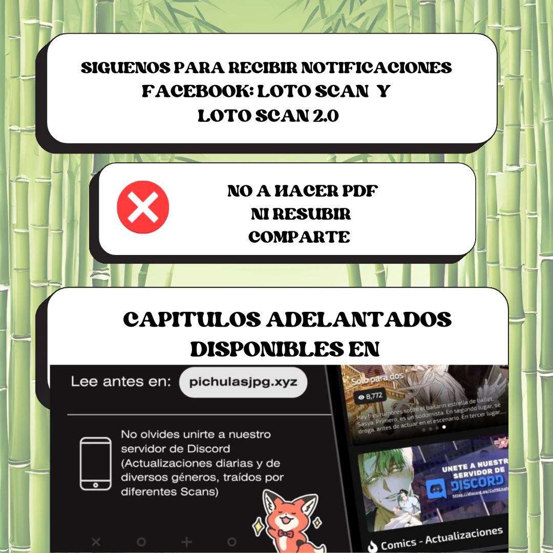 7 compañeros de bambu