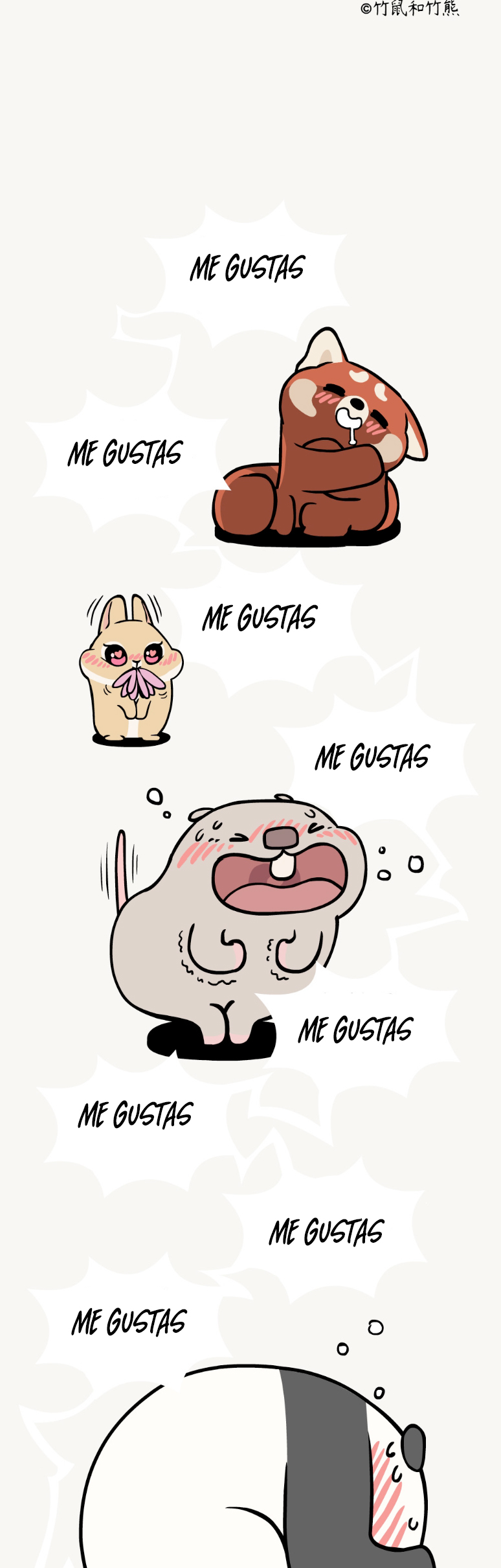 5 compañeros de bambu