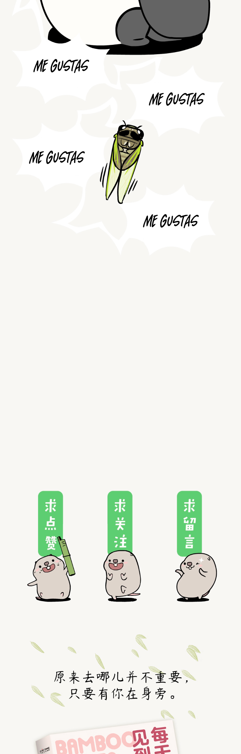 6 compañeros de bambu