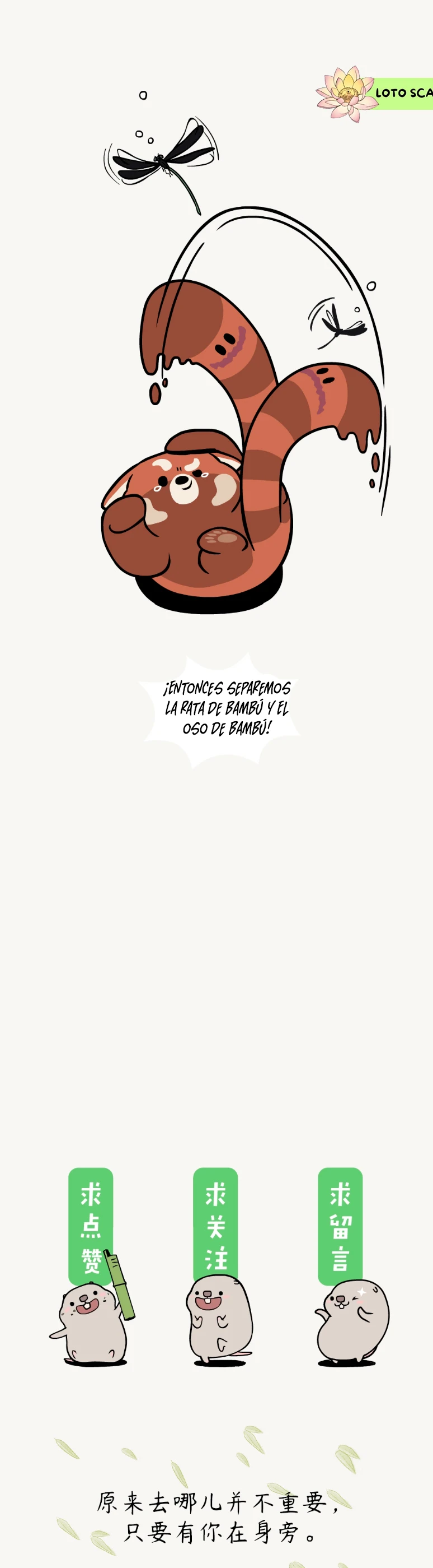 6 compañeros de bambu