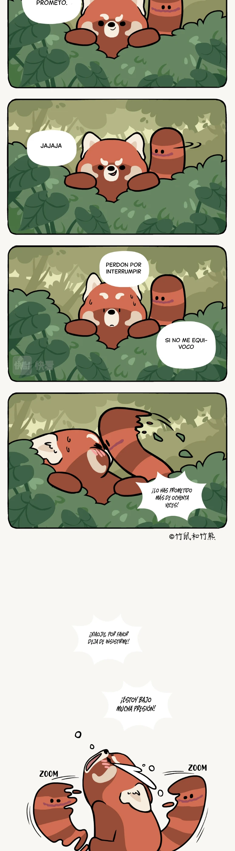 4 compañeros de bambu