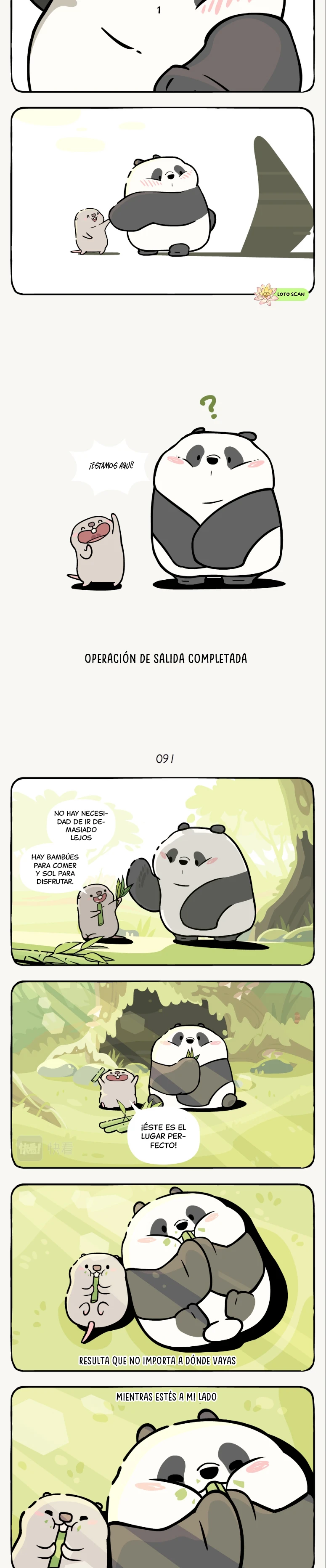 5 compañeros de bambu