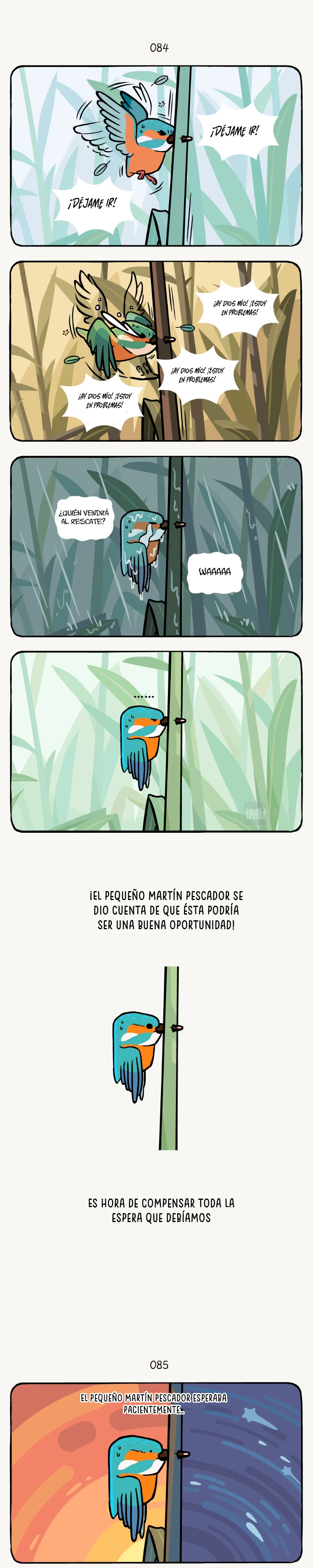 4 compañeros de bambu