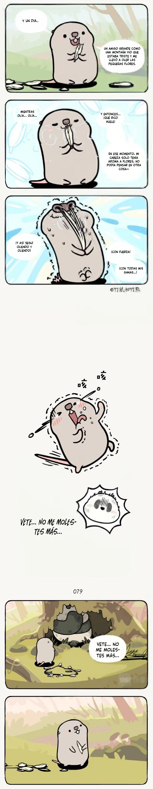 3 compañeros de bambu