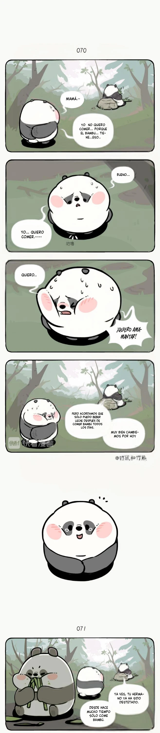 3 compañeros de bambu