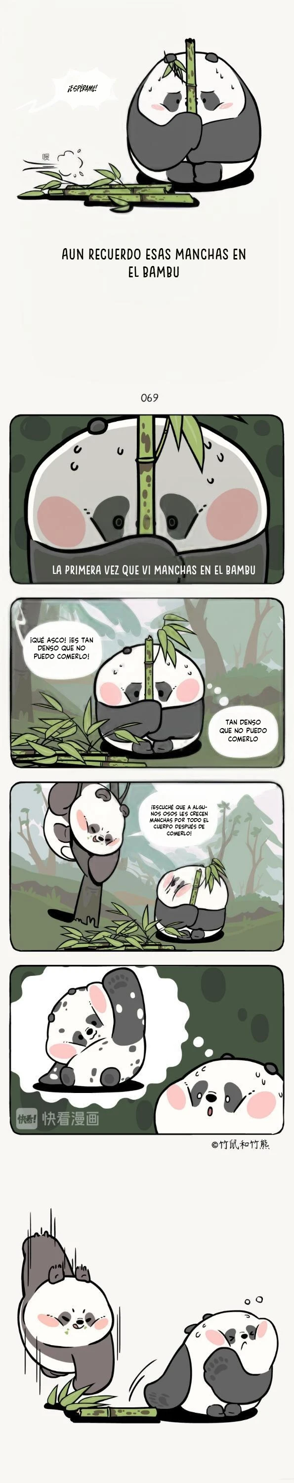 2 compañeros de bambu