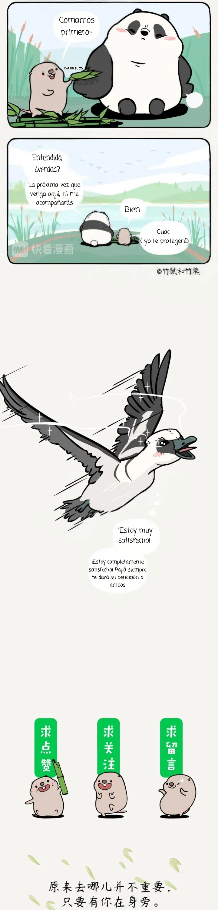 5 compañeros de bambu