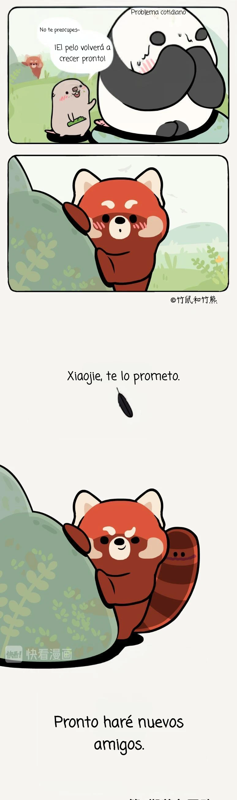 5 compañeros de bambu