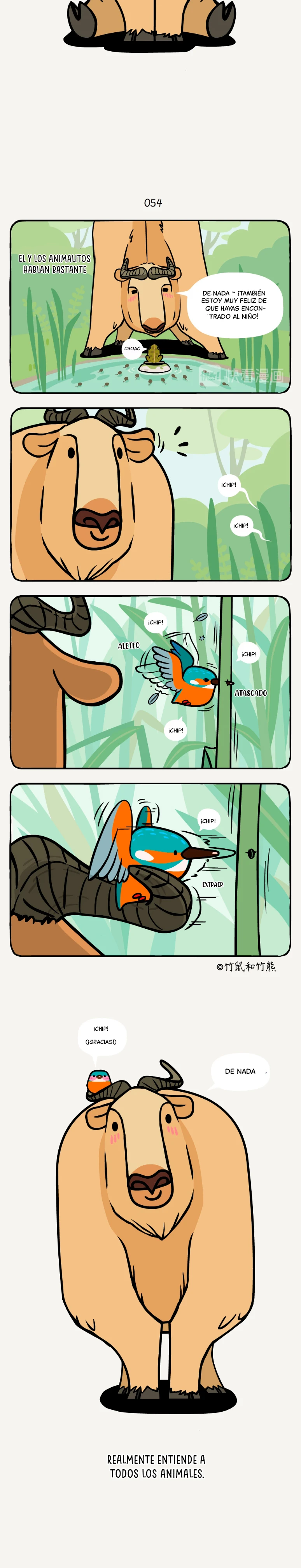 2 compañeros de bambu