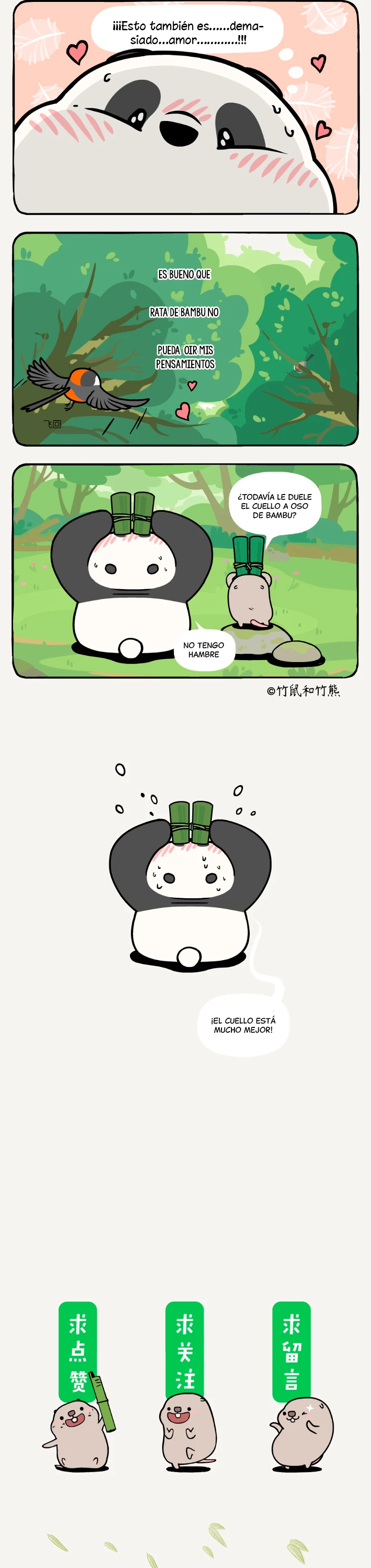 4 compañeros de bambu