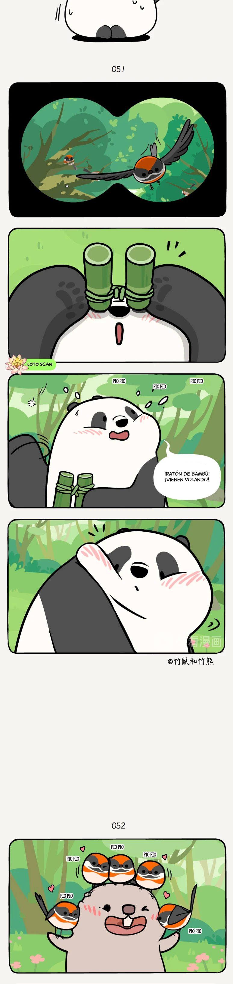 3 compañeros de bambu