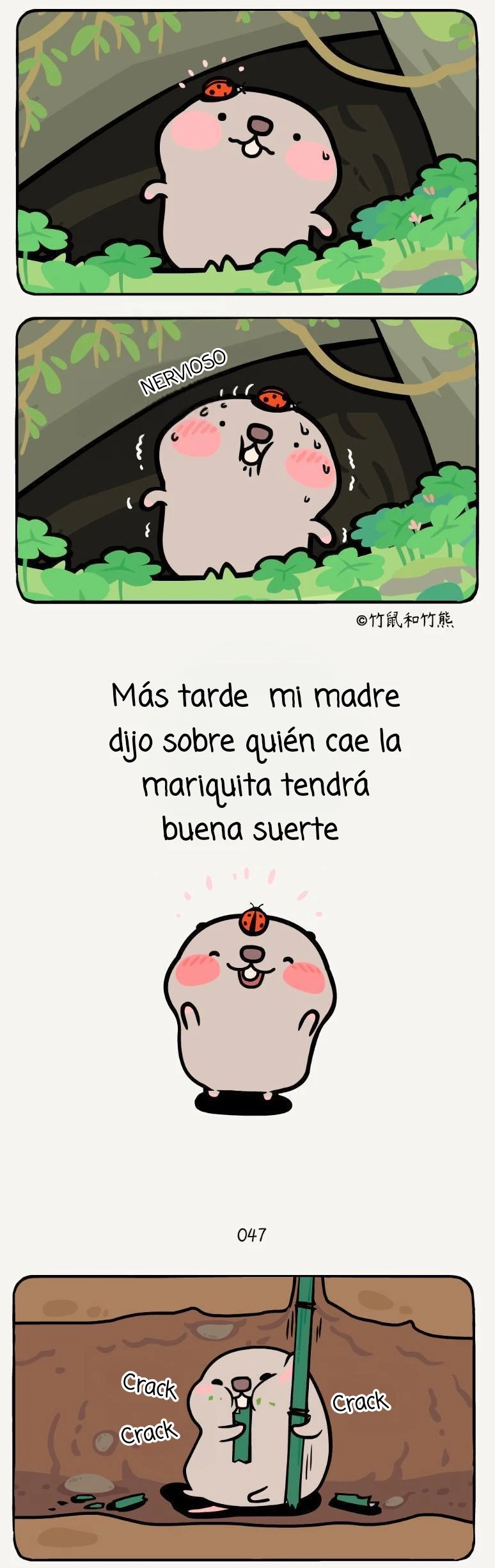 2 compañeros de bambu