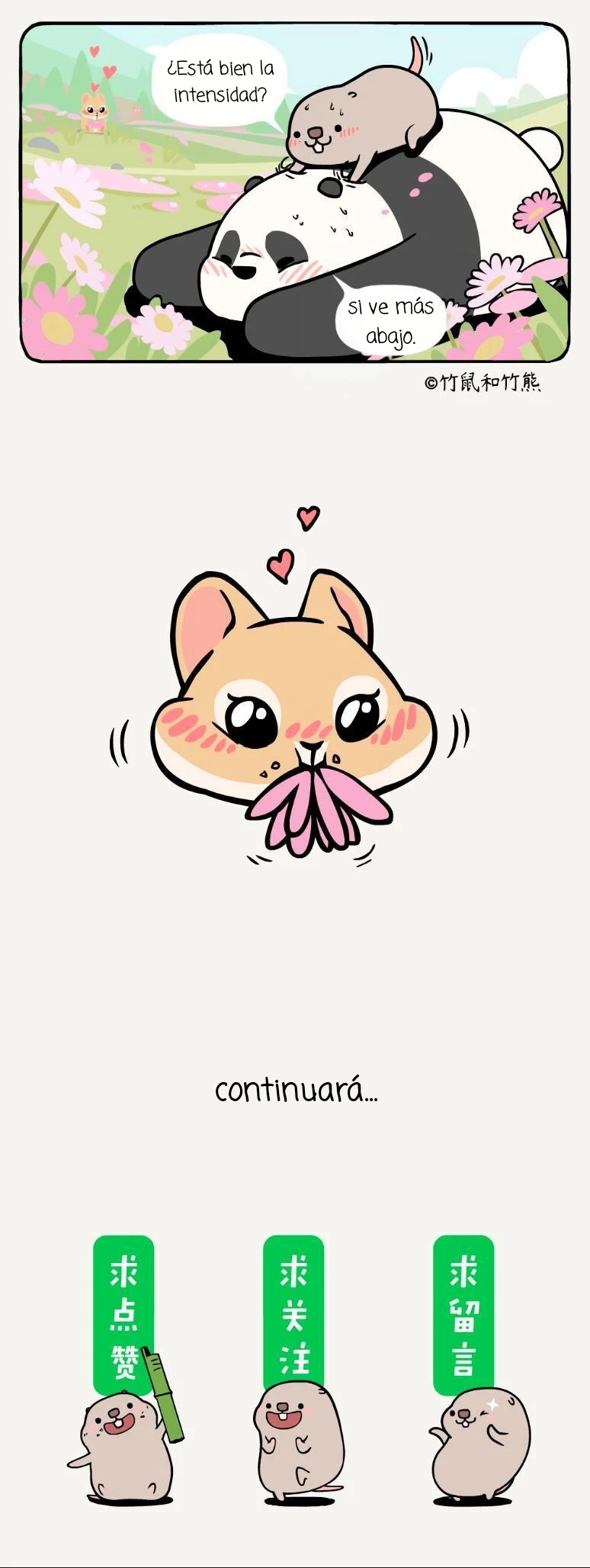 5 compañeros de bambu