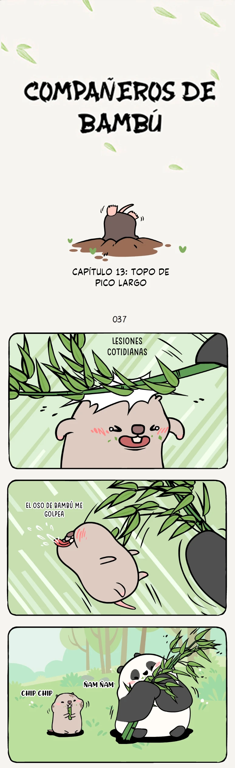 1 compañeros de bambu