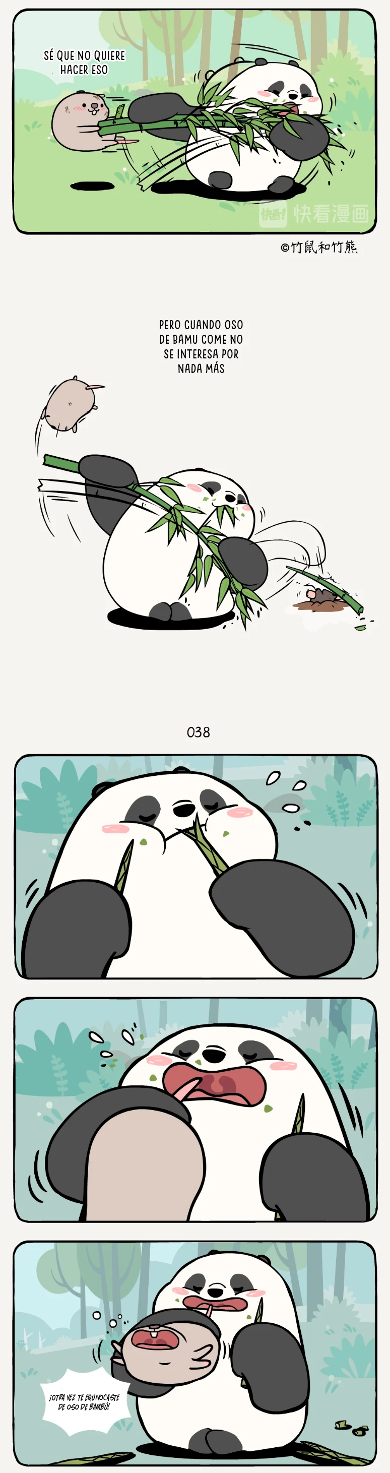 2 compañeros de bambu