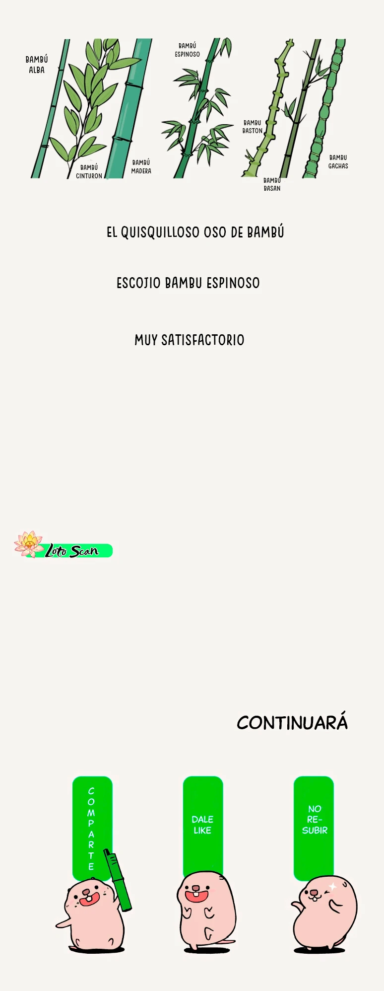 5 compañeros de bambu