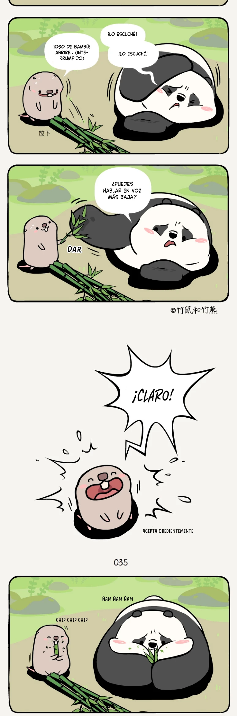 2 compañeros de bambu