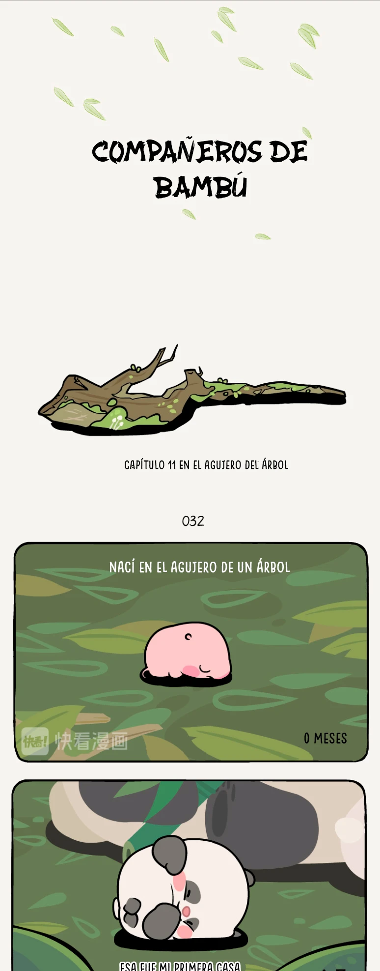 1 compañeros de bambu