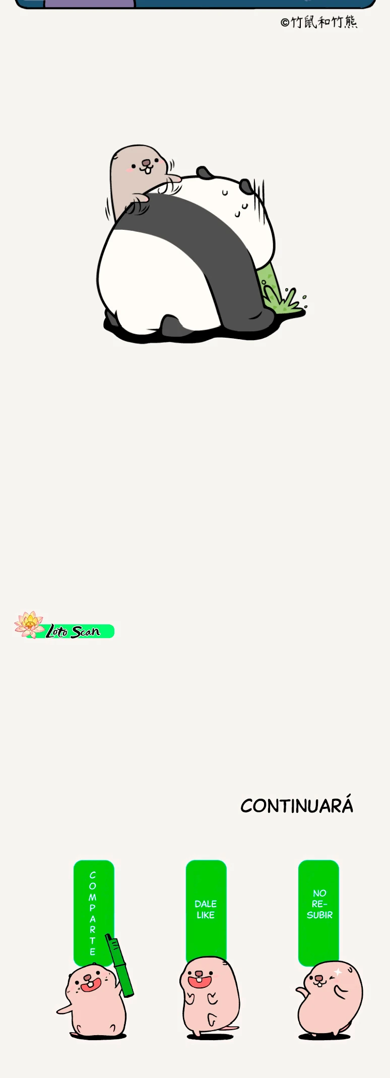 5 compañeros de bambu