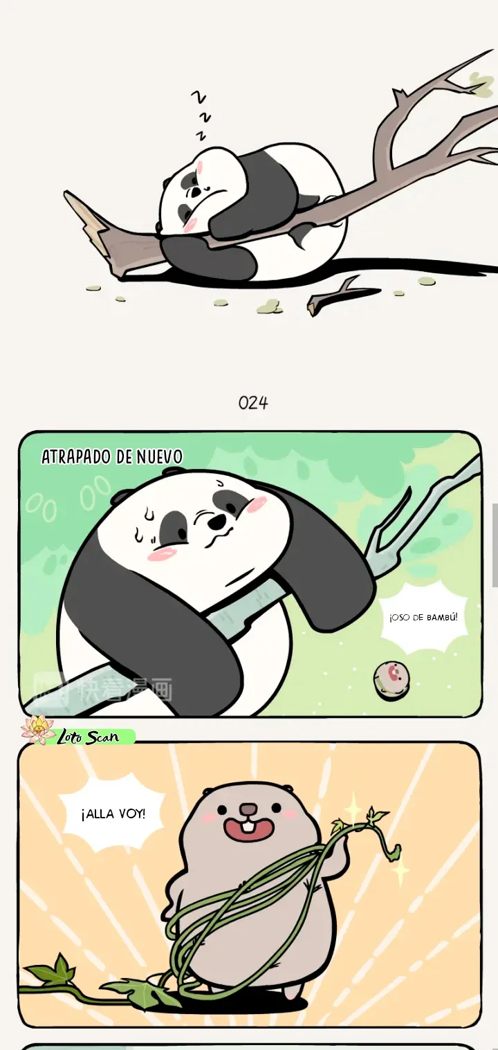 3 compañeros de bambu