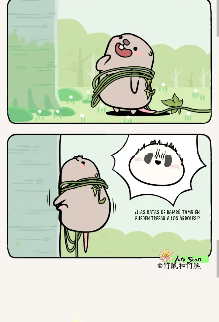 4 compañeros de bambu