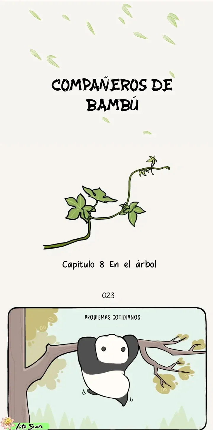 1 compañeros de bambu