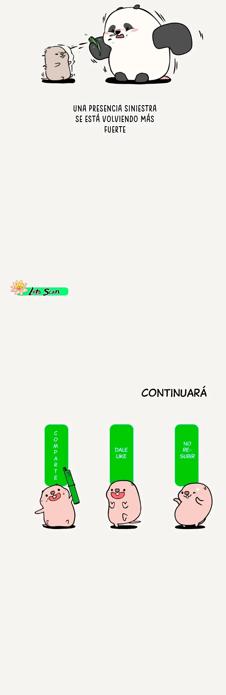 5 compañeros de bambu