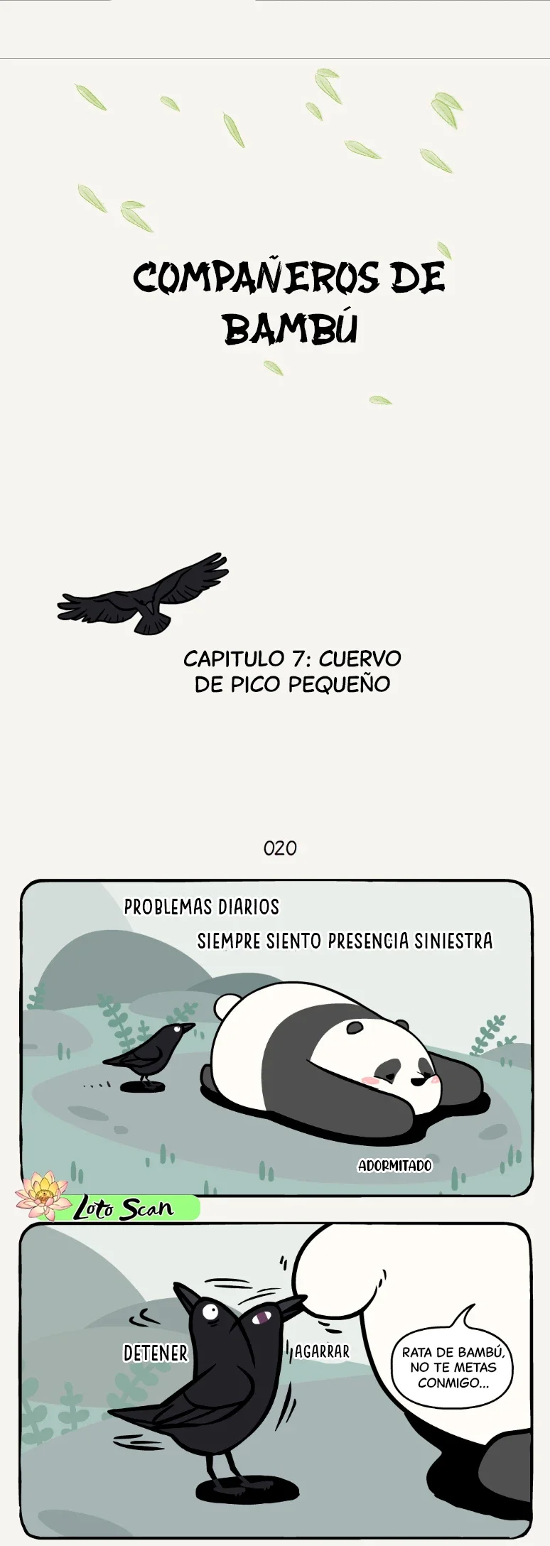 1 compañeros de bambu