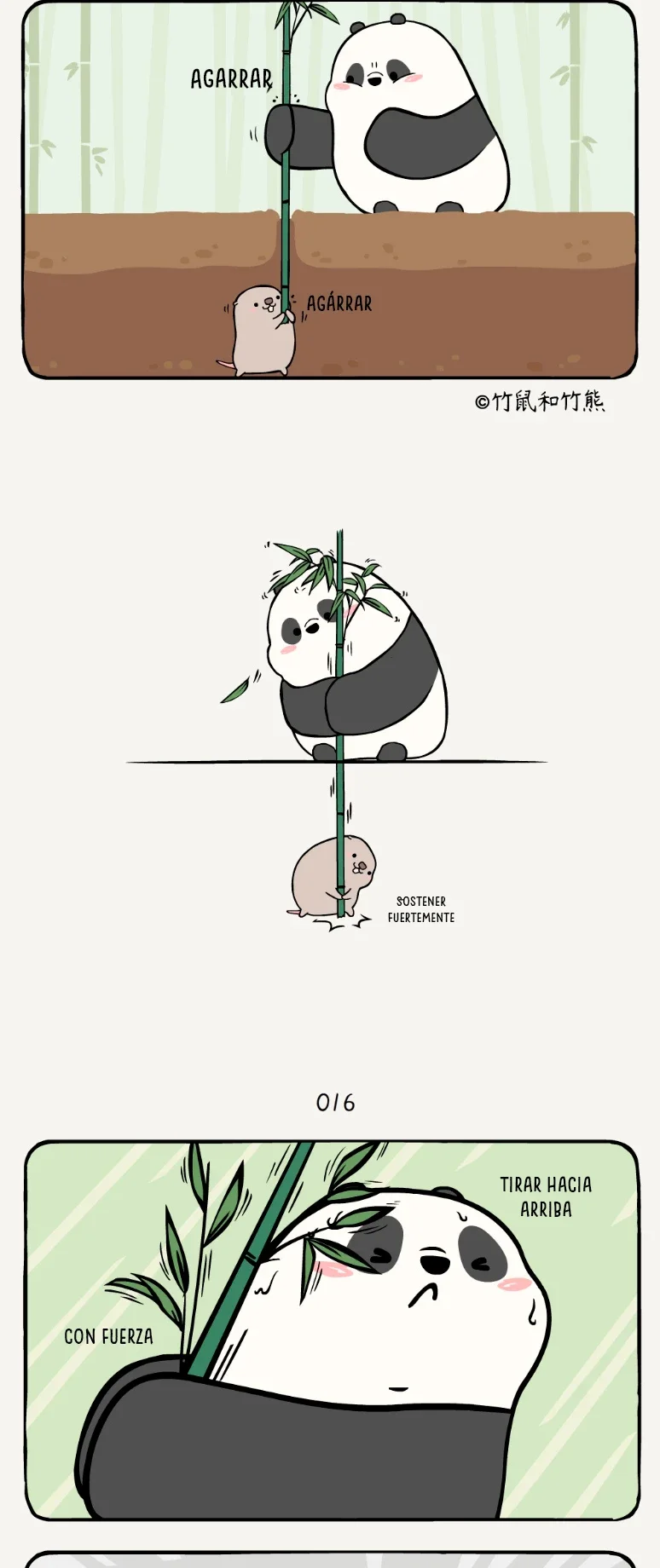 4 compañeros de bambu