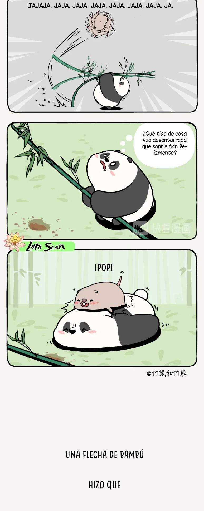 5 compañeros de bambu