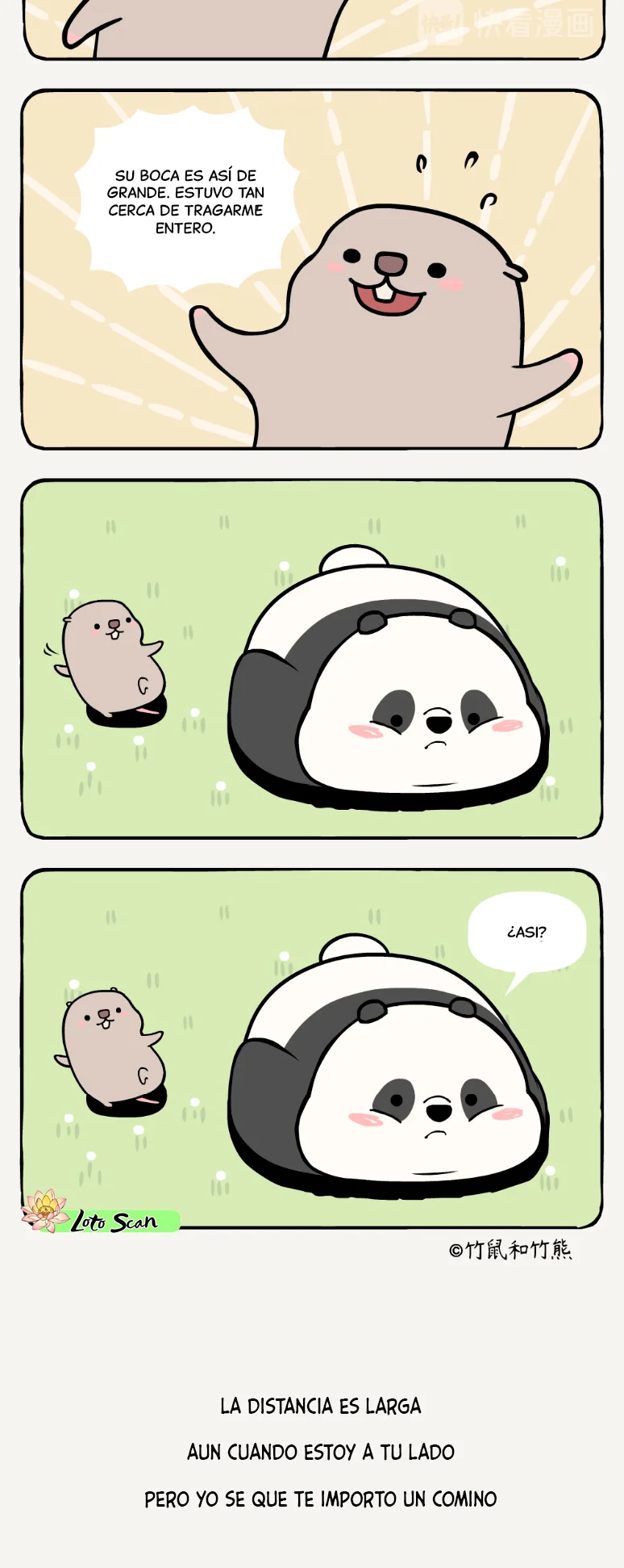 3 compañeros de bambu