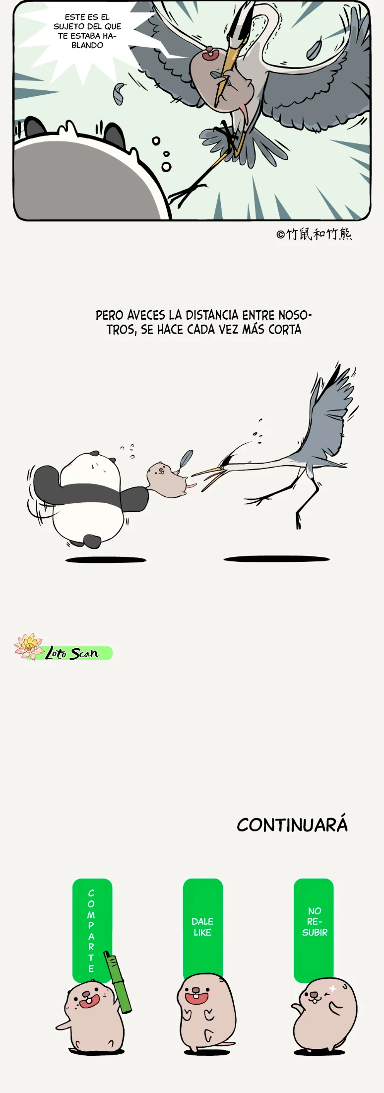 5 compañeros de bambu