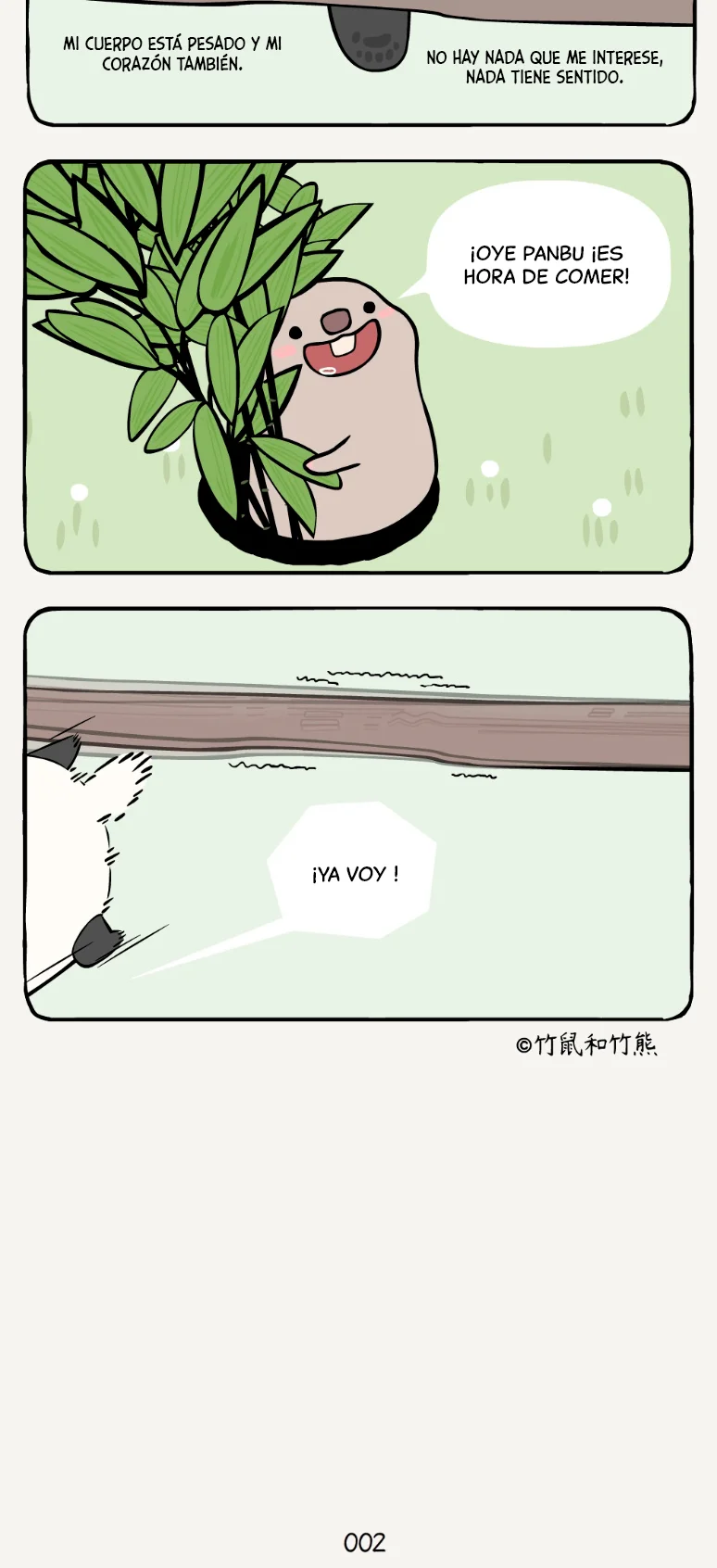 2 compañeros de bambu