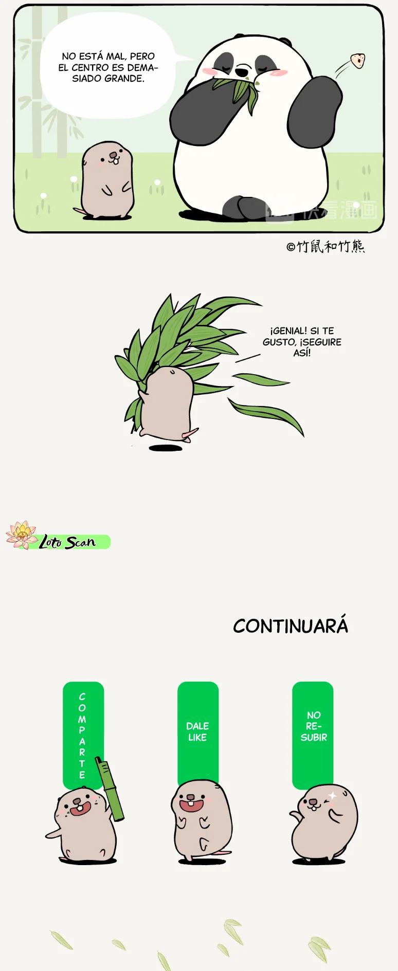 5 compañeros de bambu