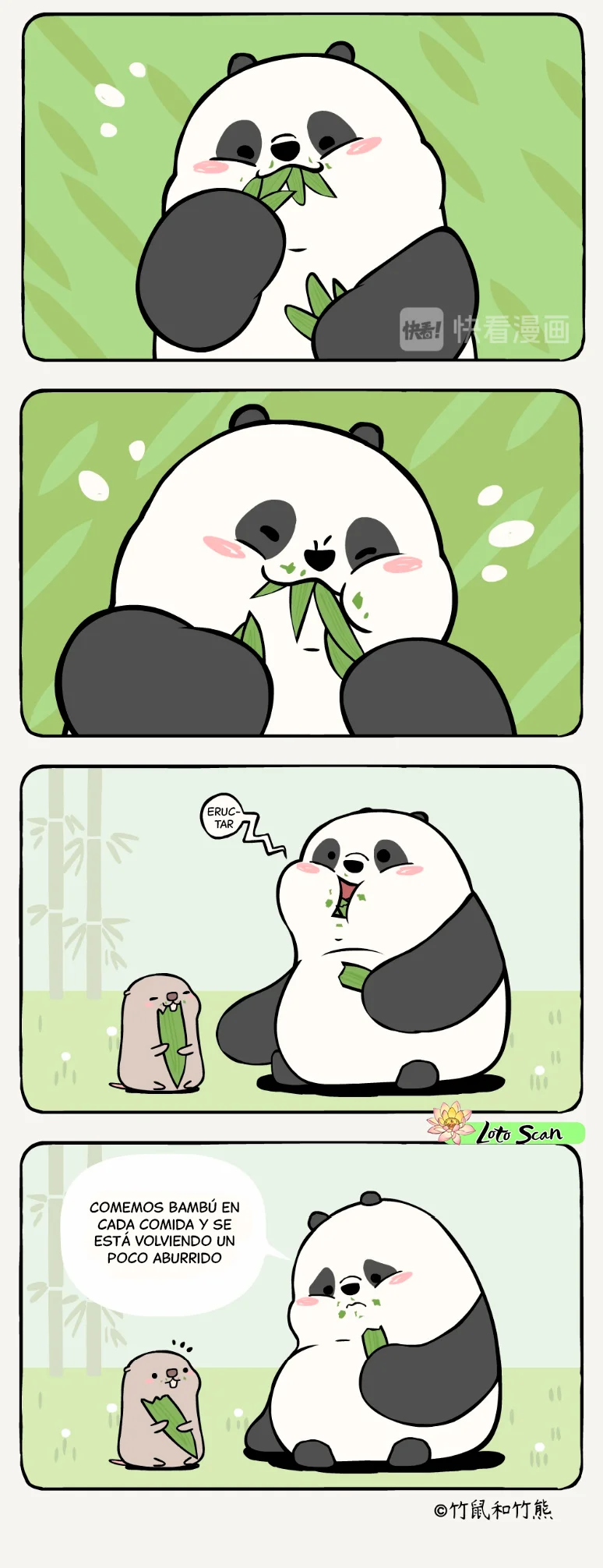 3 compañeros de bambu