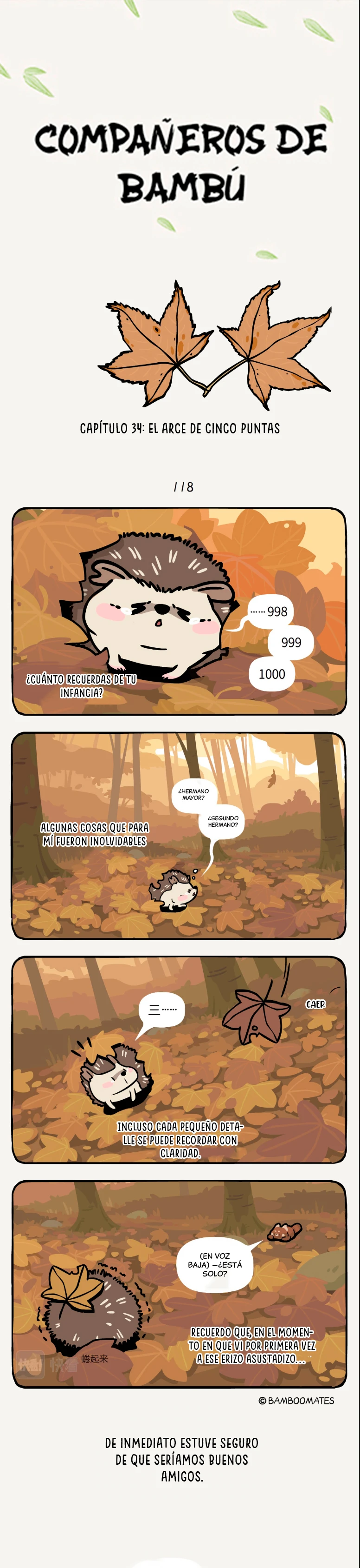 1 compañeros de bambu