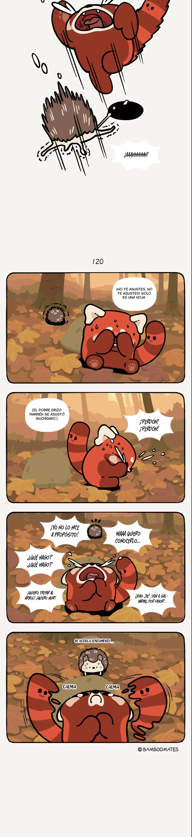 3 compañeros de bambu