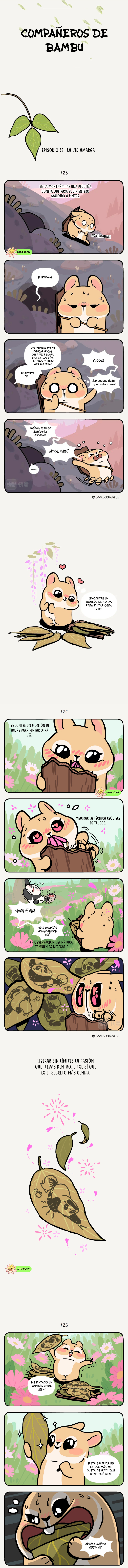 1 compañeros de bambu
