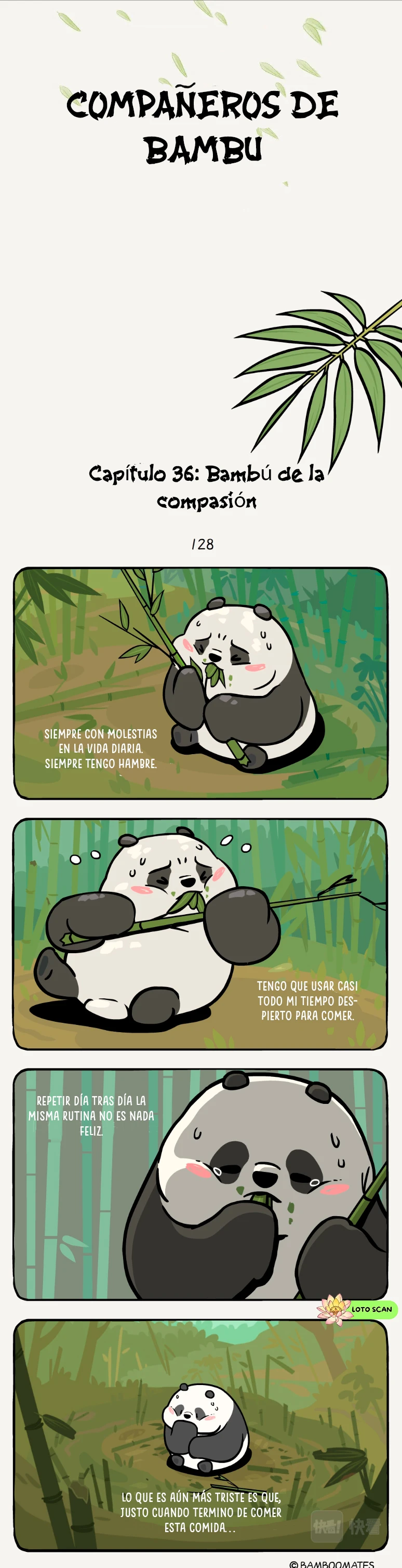 1 compañeros de bambu