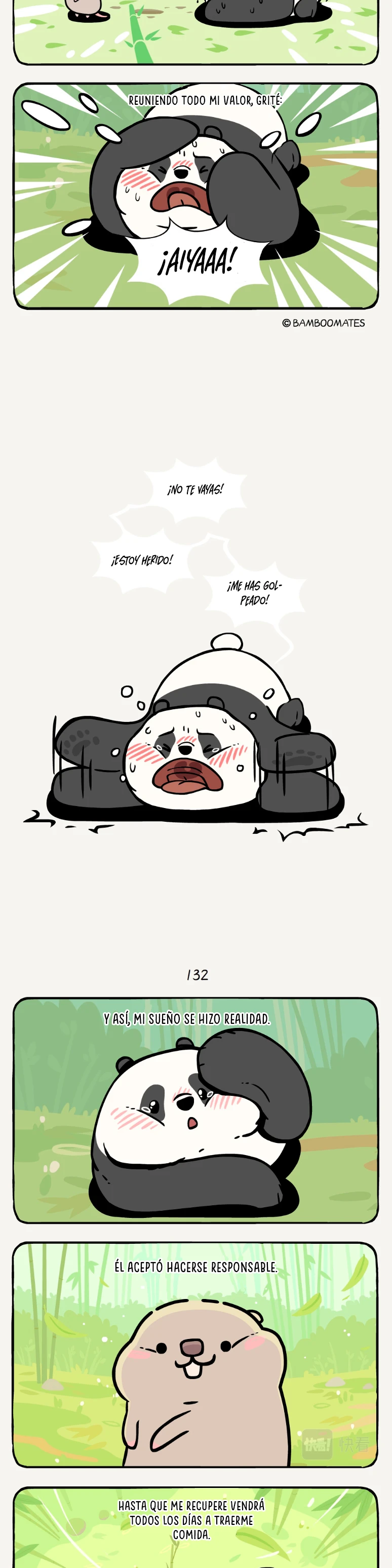 5 compañeros de bambu