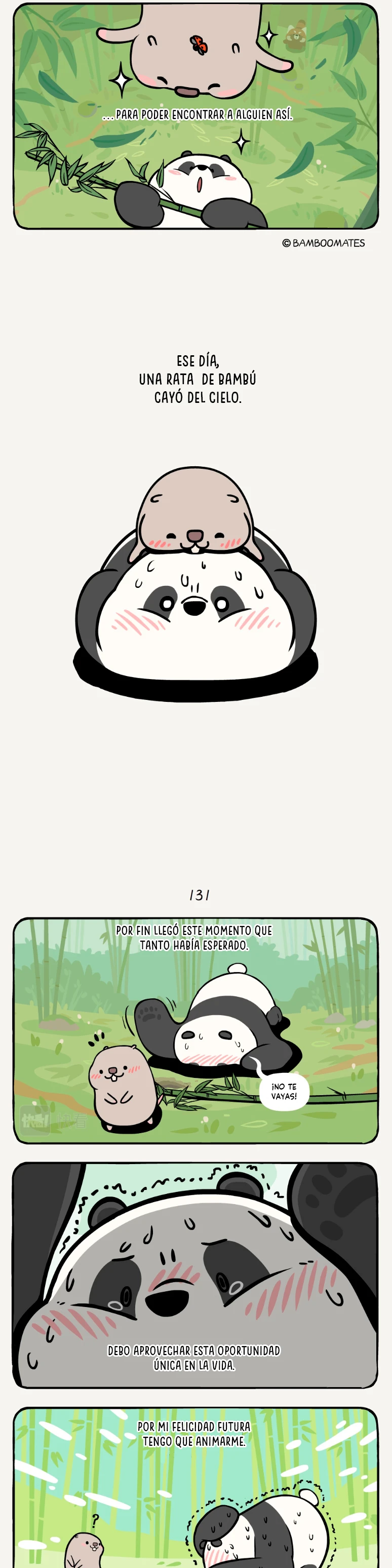 4 compañeros de bambu