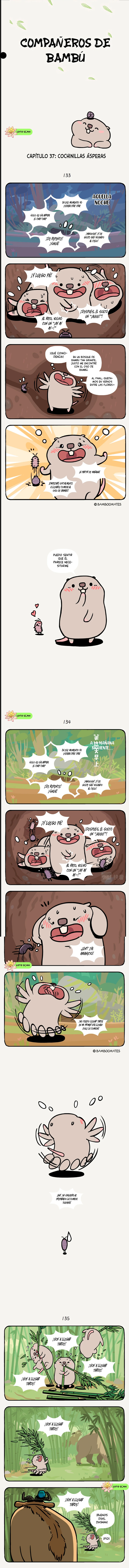 0 compañeros de bambu
