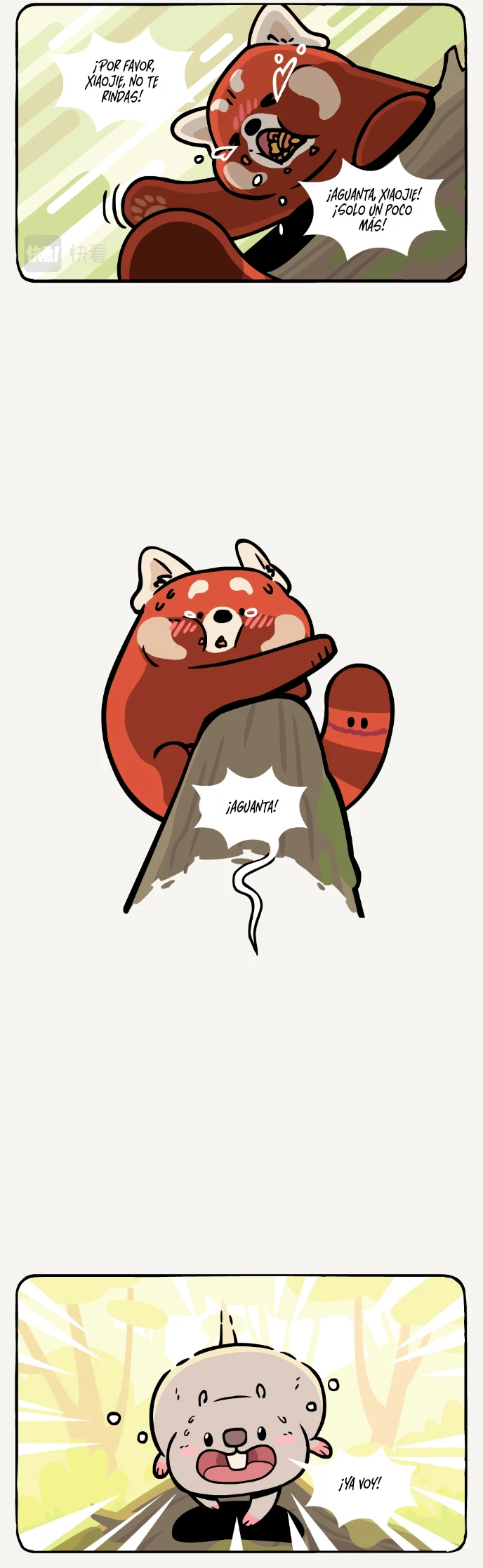 6 compañeros de bambu