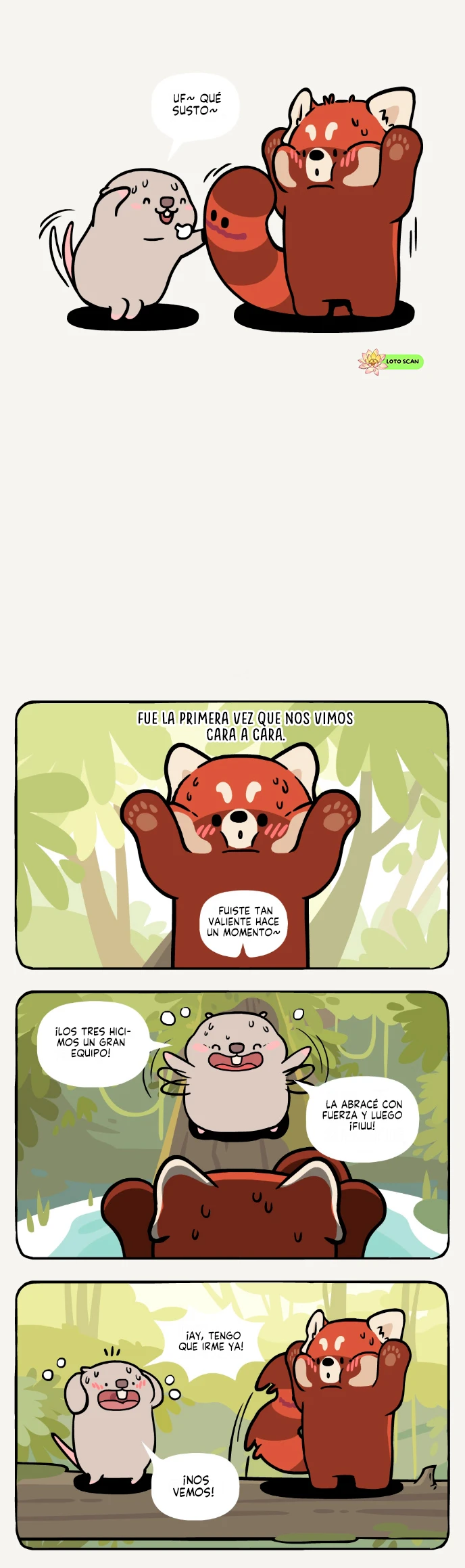 8 compañeros de bambu